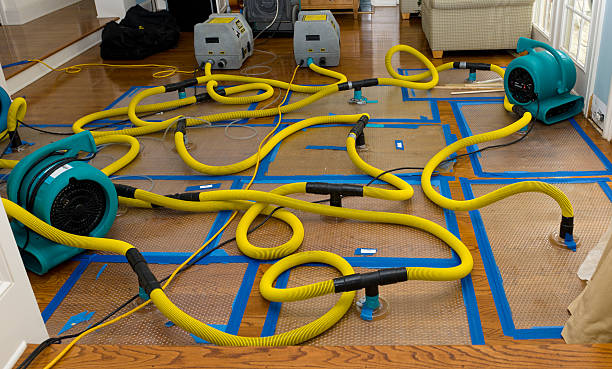 Professional Storm Water Damage Restoration technician working in Braham, MN